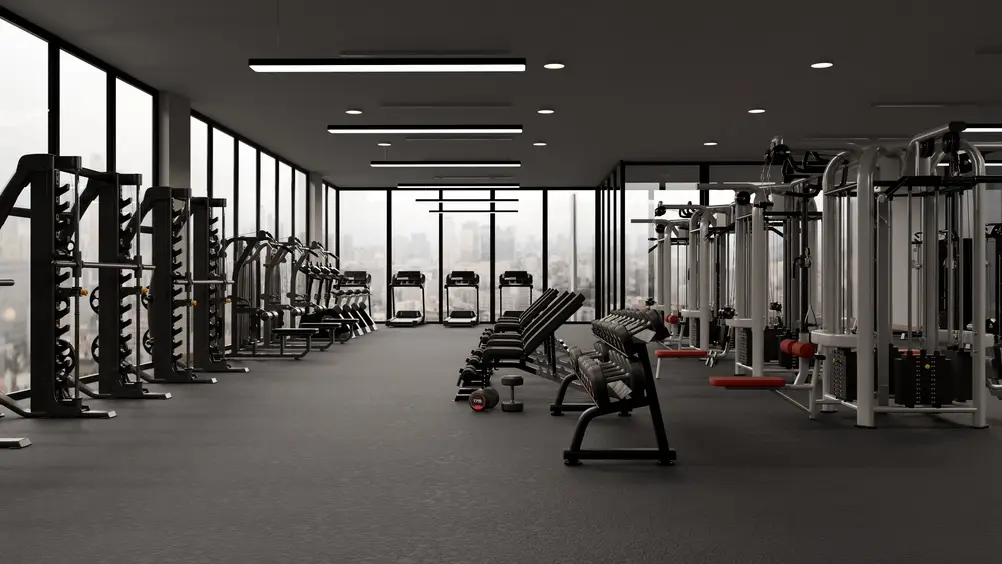 salle de musculation